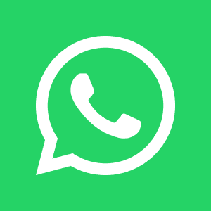 鑽研 Whatsapp 查詢